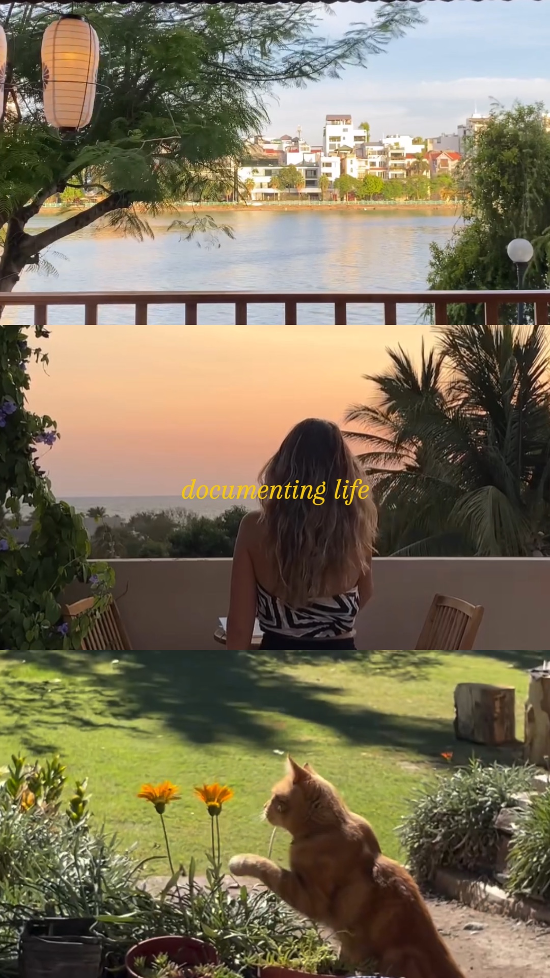 Documenter la vie 
