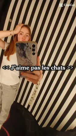 j’aime pas les chats