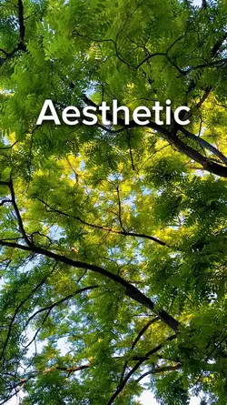 aesthetic
