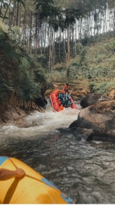 Adrenaline Day