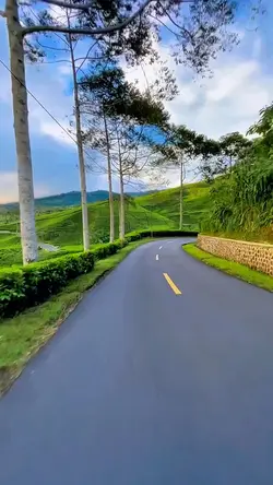 5 klip filter video