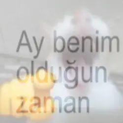 ay bnm oldugun zmn..