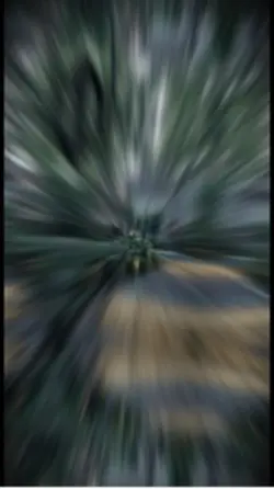 Nhìn em hạnh phúc