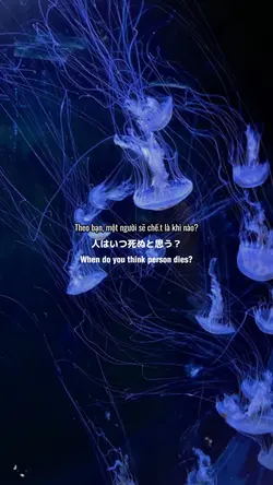 人はいつ死ぬと思う?