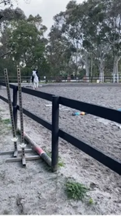 Canter poles 18+
