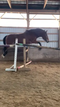 Free jumping