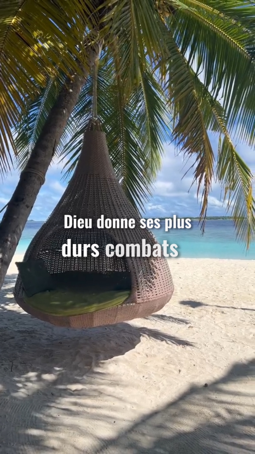 Momento C 'est qu' un..