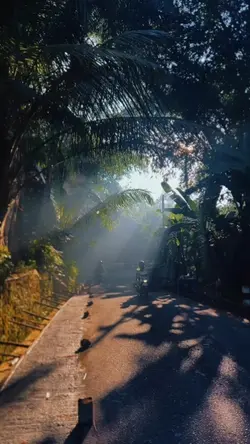 jalan kampung