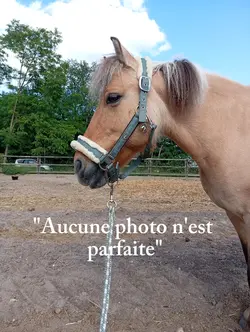 Aucune photo n'est 