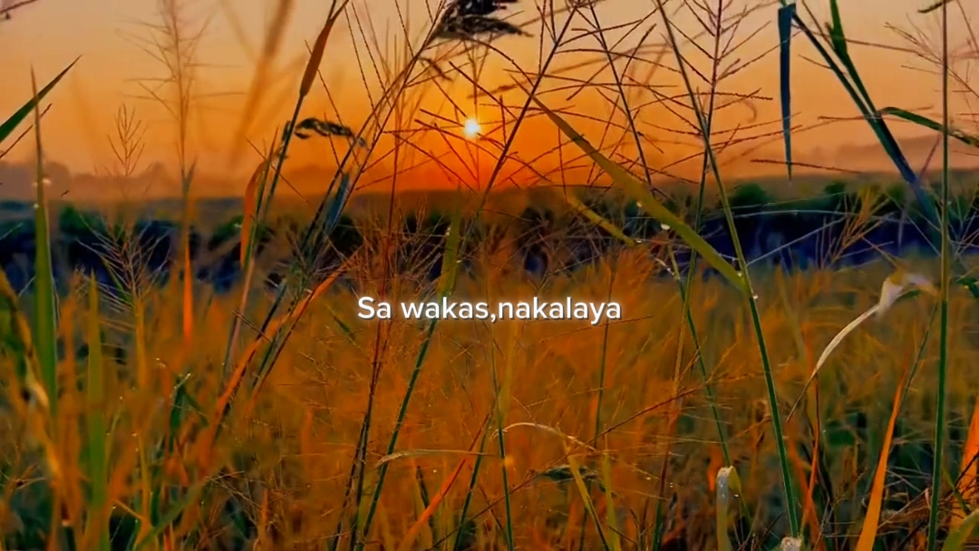 Video pendek penyembuhan multo