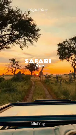 Safari time