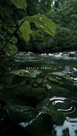 nature vibes