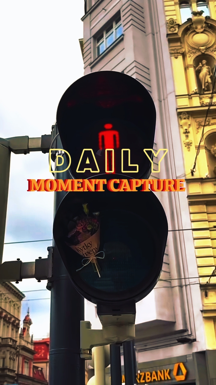 Captura diaria de momentos