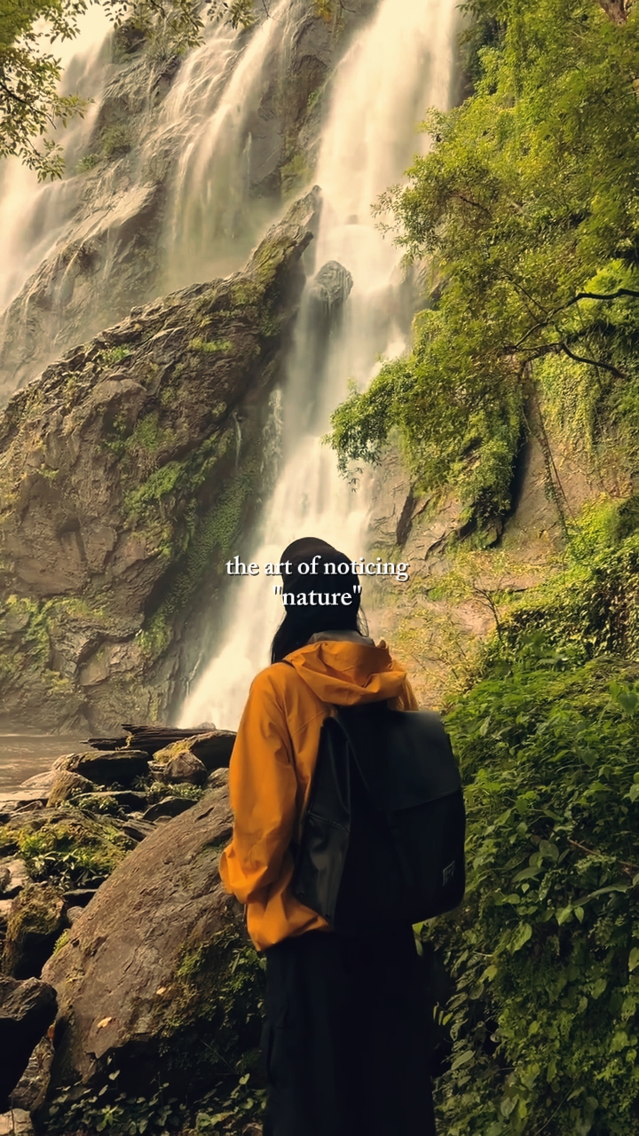 Nature 