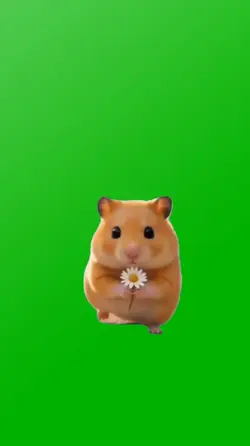 ADORABLE HAMSTER