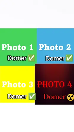 Domer