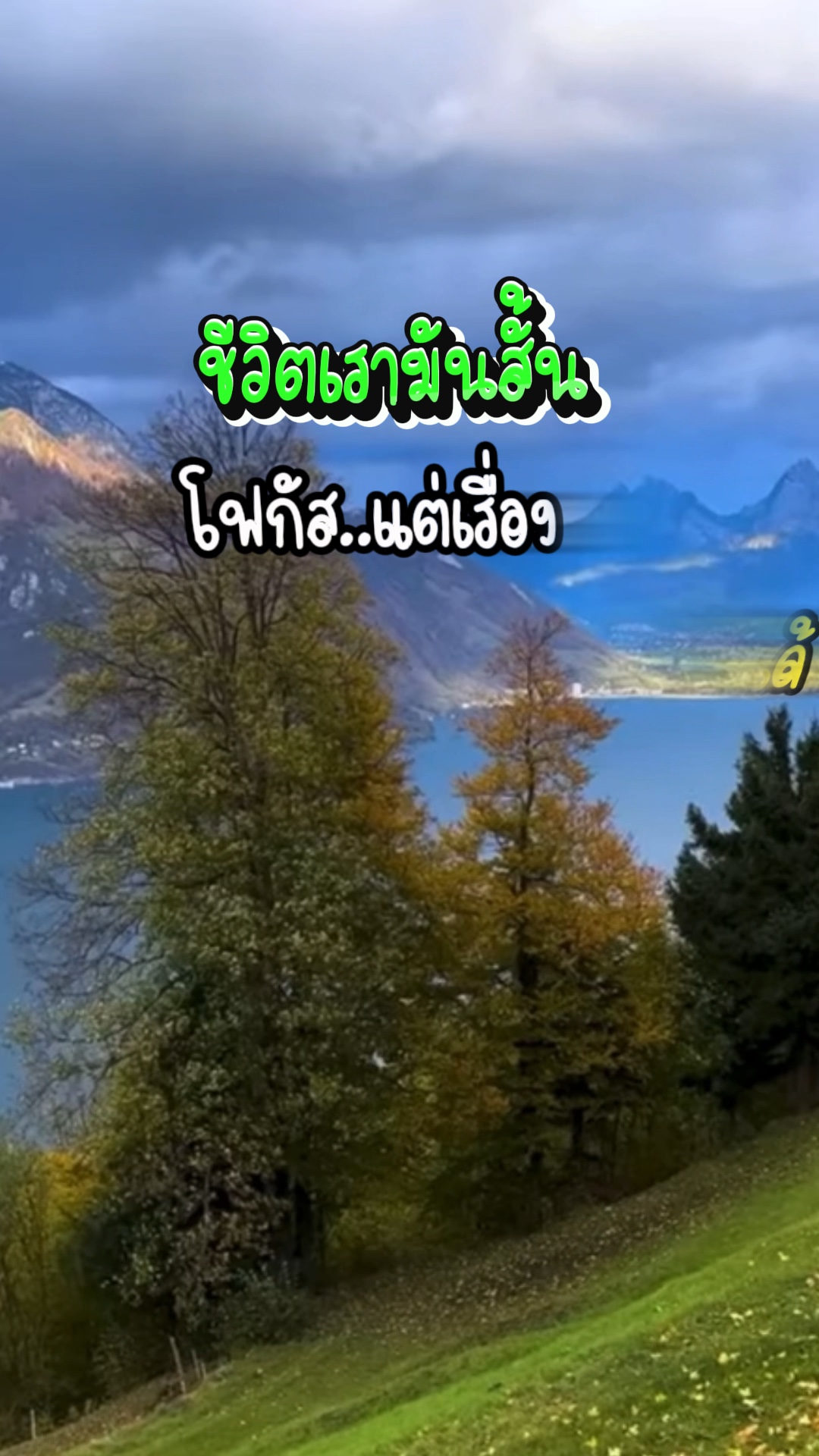 อ้อ ว.