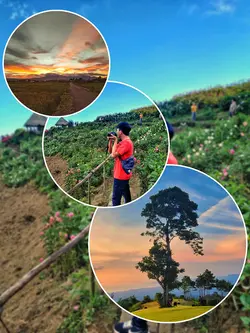 Frame/Kolase Estetik