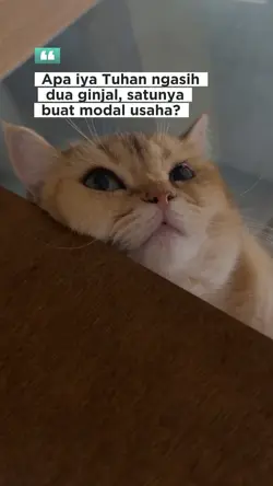 bertanya dgn bimbang