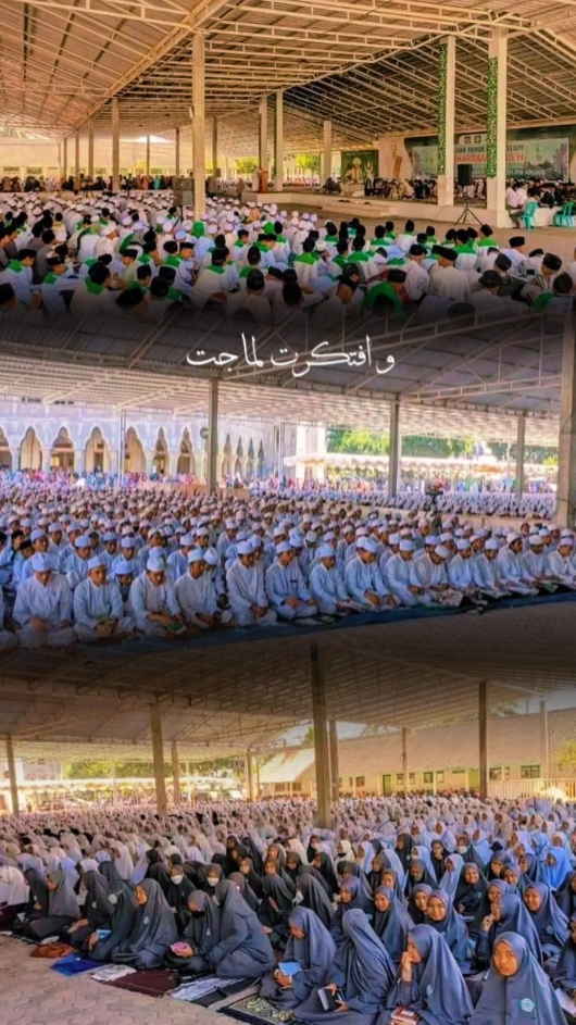 Arabic Song 