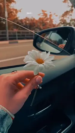 🥀