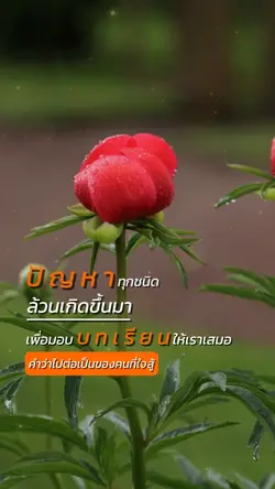 ปัญหามอบบทเรียน