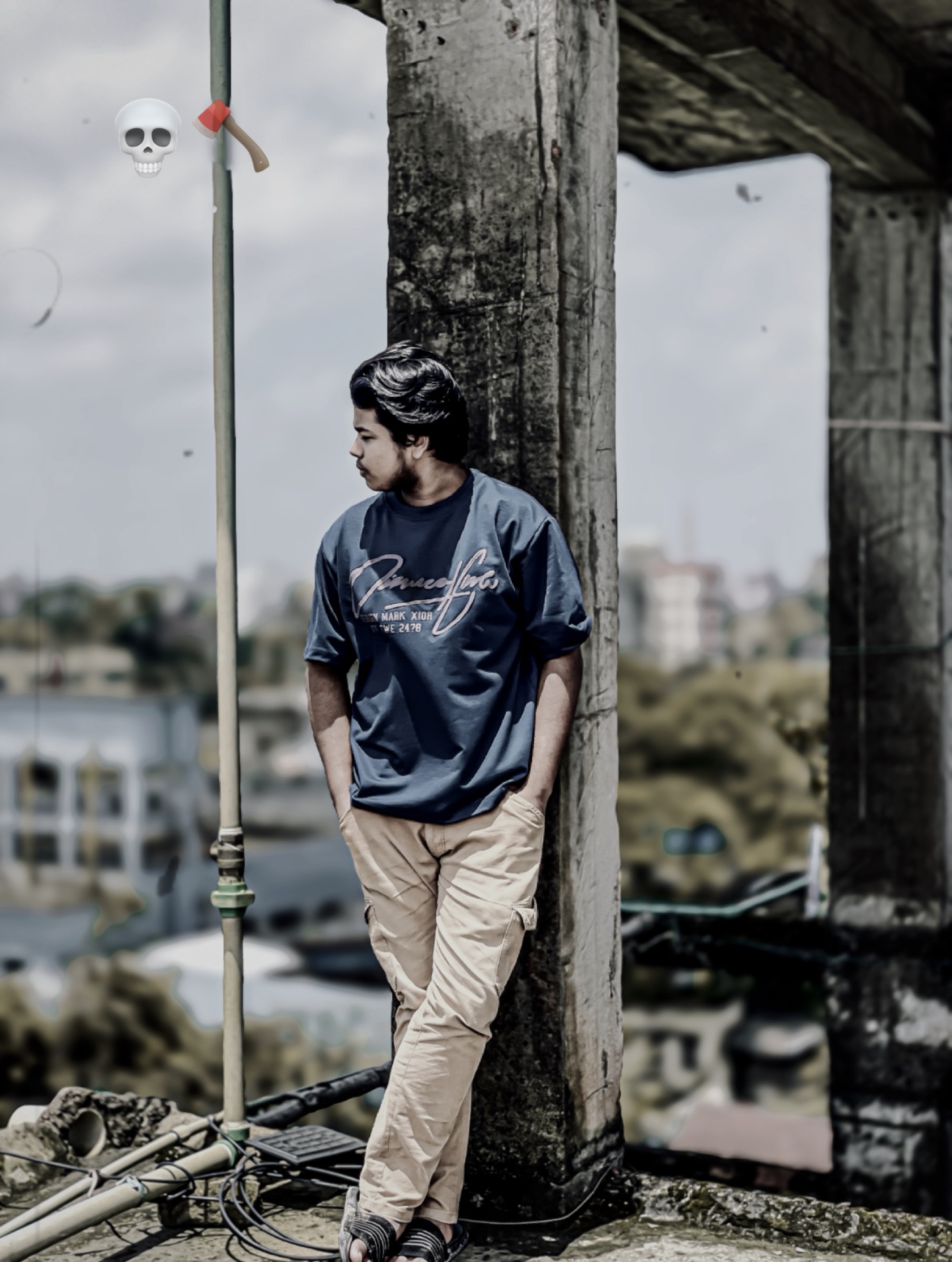 Cover Picture