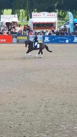 Dressage😍