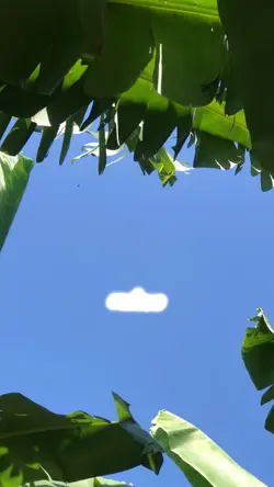 លេងបទព្រះថោងគេតោងស្បៃស្រី