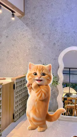 Stiker Kucing Viral 