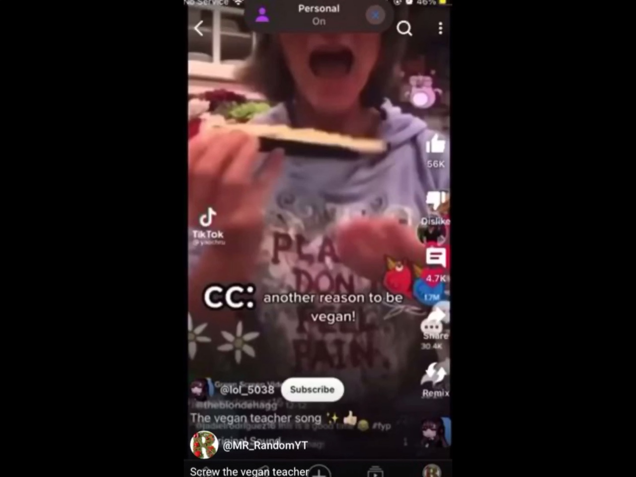 Vegan teacher rap
