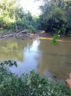sereia 