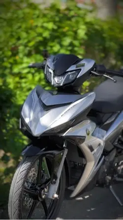 Y15zr 