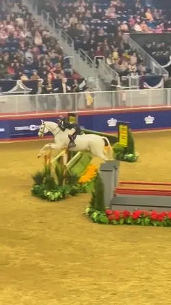 CHLOE JUST BITE ME 😾