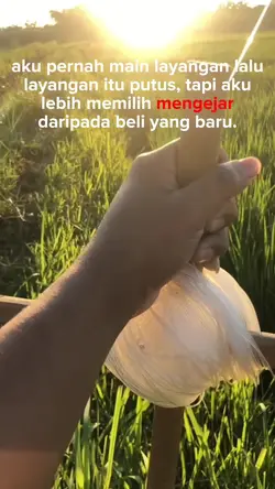 layangan quotes