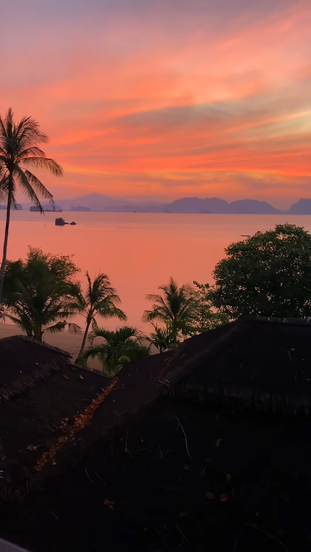8 video atau foto