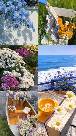 Aesthetic Moment