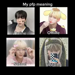 Pfp meaning 