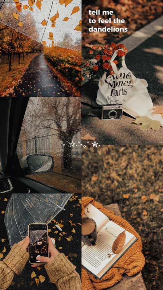 dandelions