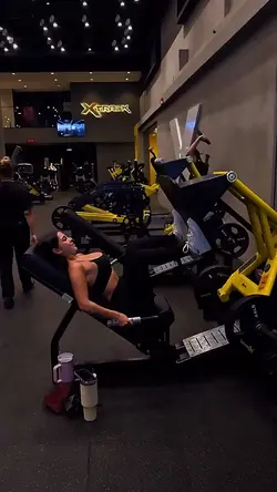 Treino