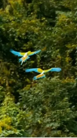 Cảnh đẹp thiên nhiên