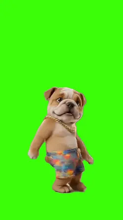 Dog/Cachorro.
