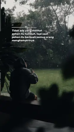 Pohon berbuah
