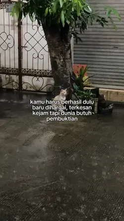 kamu harus berhasil