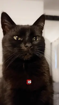 Why is the weekend..