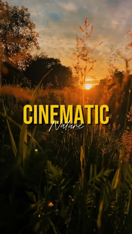 CINEMATIC NATURE