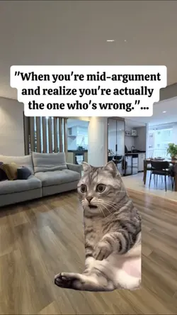 mid argument