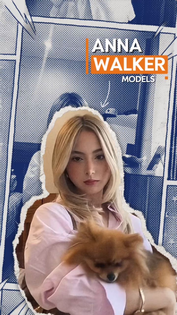 INTRODUÇÃO MYSEL