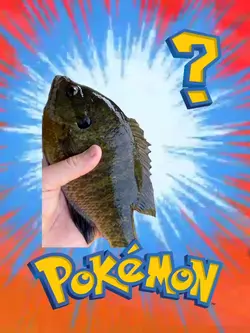 Whose that’s Pokemon