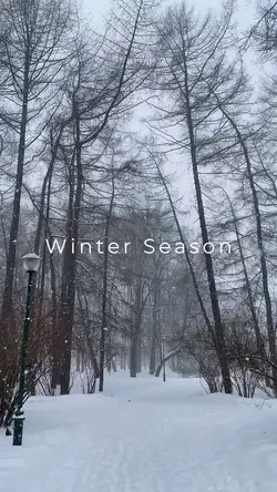 Winter Season
